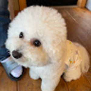 Meet your Posher, Mizuki